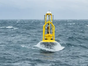 What Are Buoys Used For