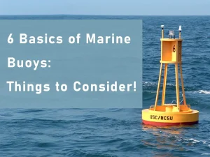 6 Basics of Marine Buoys: Things to Consider!