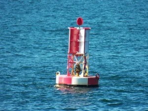 What Are Buoys