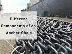 Different Components of an Anchor Chain