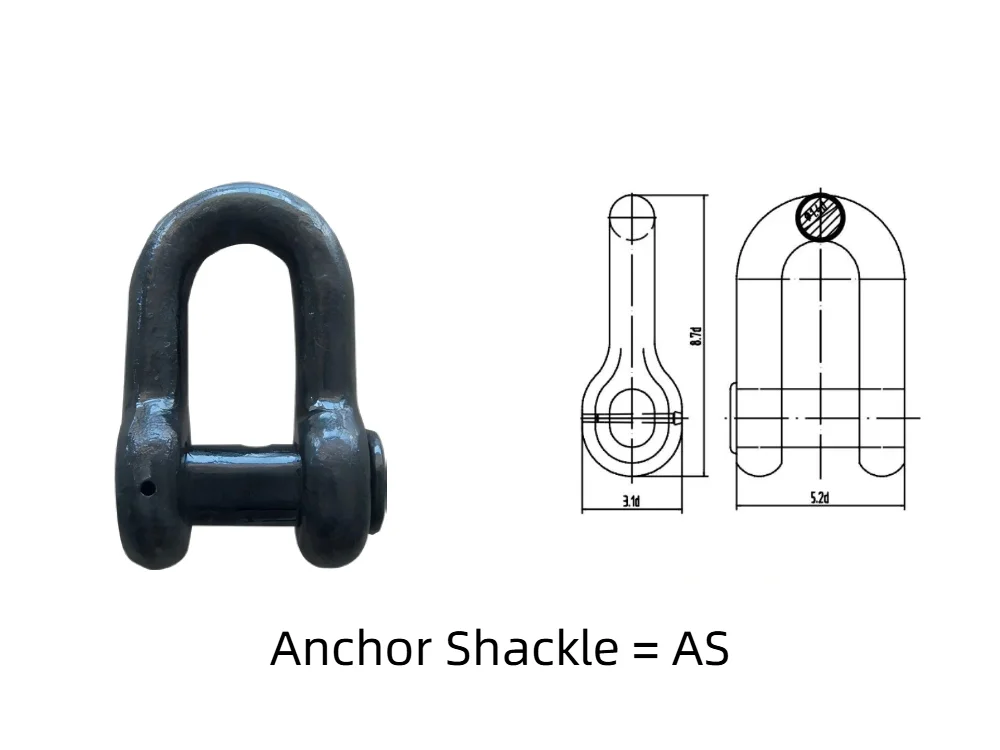 Anchor Shackle