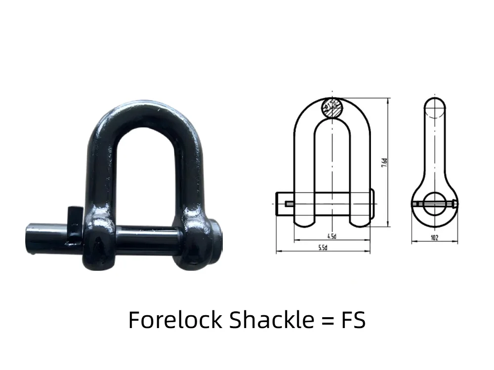 Forelock Shackle