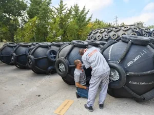 What Are Yokohama Fenders